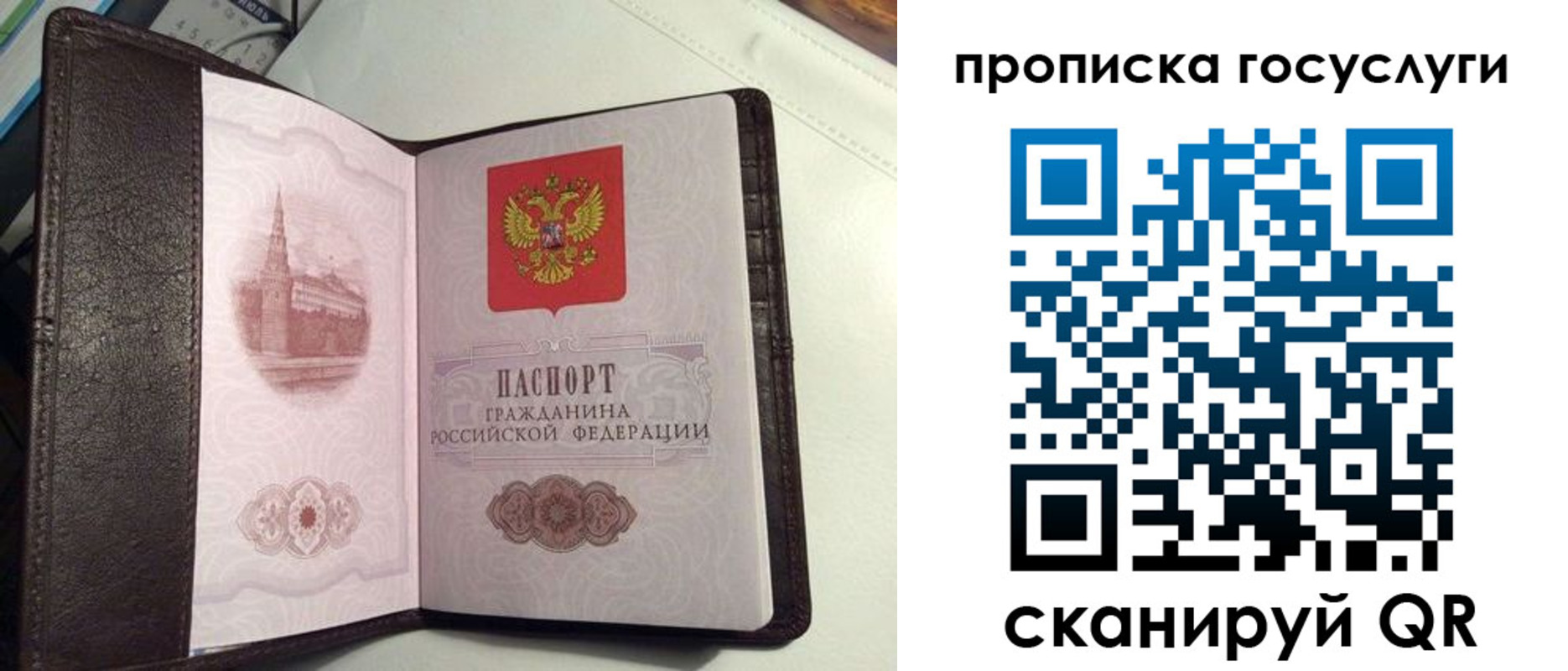 временная прописка в Зернограде